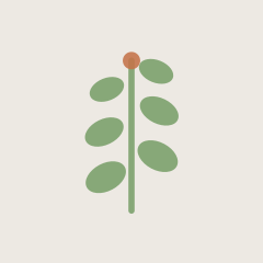 Diety App Icon